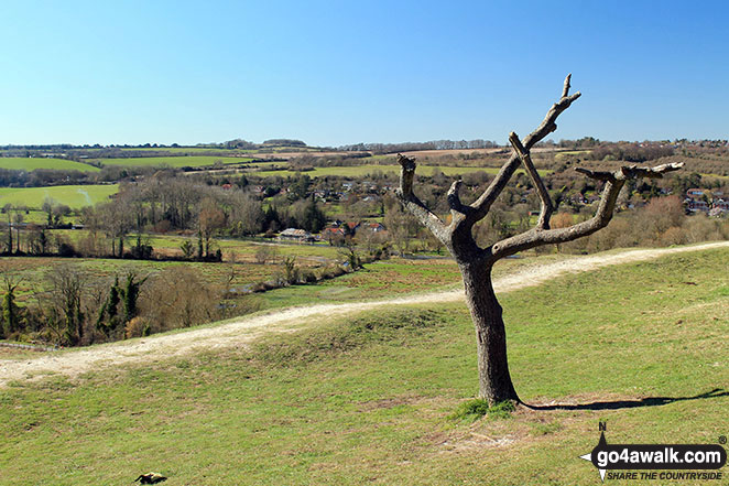 Walk ha111 Cheesefoot Down from Winchester - The view from  St Catherine's Hill