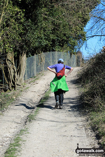 Walk ha111 Cheesefoot Down from Winchester - On the Pilgrims' Trail up Twyford Down