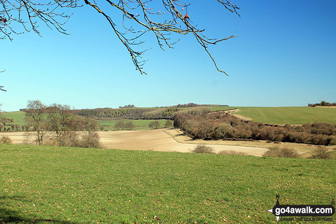 Walk ha111 Cheesefoot Down from Winchester - Deacon Hill from Twyford Down