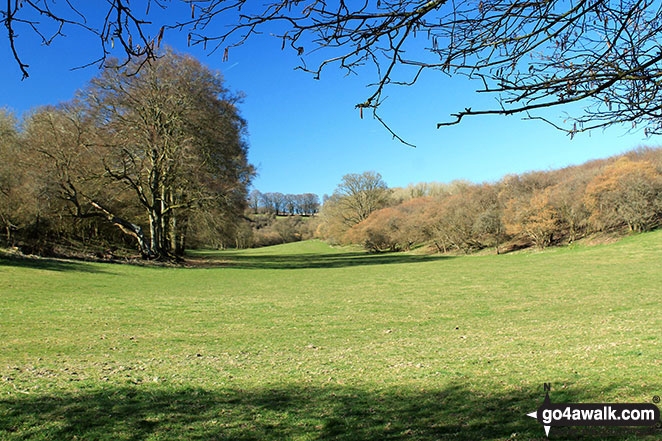 Walk ha111 Cheesefoot Down from Winchester - Morestead Down