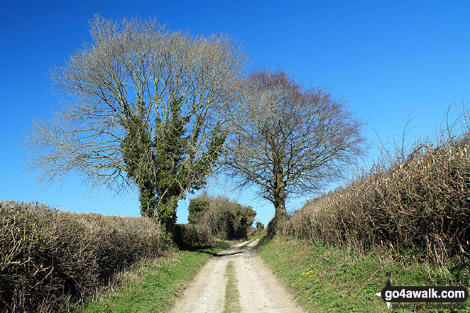 Walk ha148 Lane End and Gander Down from Cheesefoot Head - Fawley Lane (Track) on Fawley Down