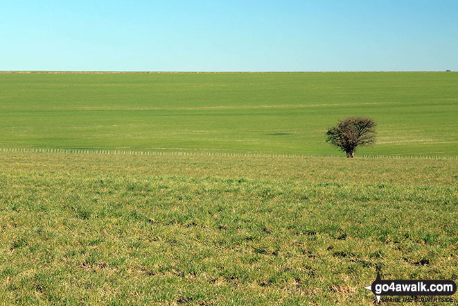 Walk ha153 Cheesefoot Head (Matterley Bowl) from Morestead - Fawley Down