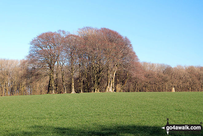 Walk ha148 Lane End and Gander Down from Cheesefoot Head - Cheesefoot Head (Matterley Bowl)