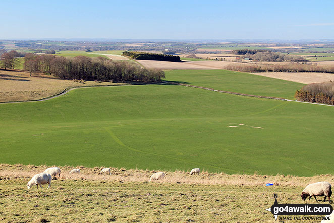 Walk ha111 Cheesefoot Down from Winchester - The view from Cheesefoot Head (Matterley Bowl)