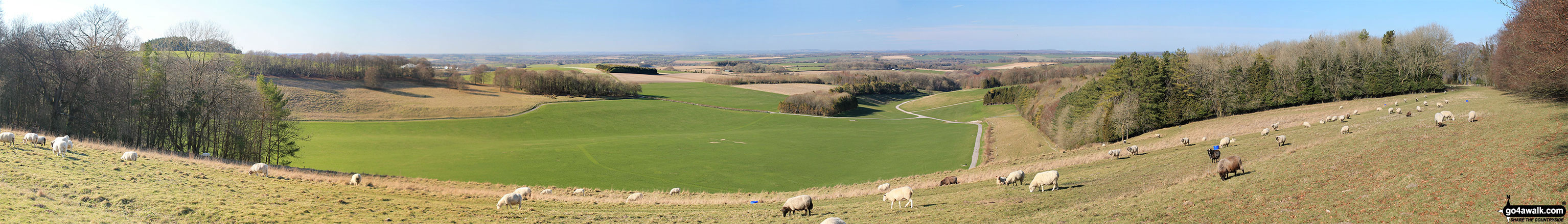 Walk ha153 Cheesefoot Head (Matterley Bowl) from Morestead - Panoramic view from Cheesefoot Head (Matterley Bowl)