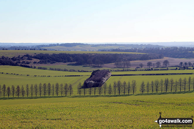 Walk ha111 Cheesefoot Down from Winchester - Fawley Down from Telegraph Hill