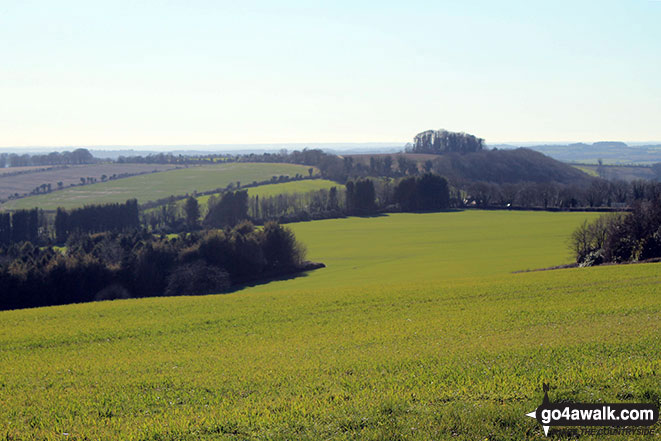 Walk ha111 Cheesefoot Down from Winchester - Deacon Hill from Telegraph Hill