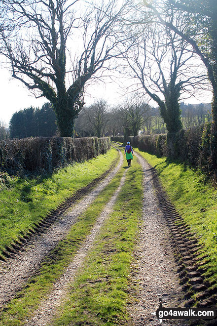 Walk ha111 Cheesefoot Down from Winchester - The South Downs Way near Chilcomb