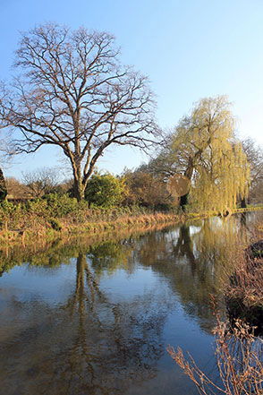 The Itchen Navigation near Winchester 