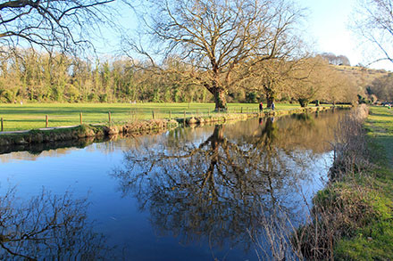 Walk ha111 Cheesefoot Down from Winchester - The Itchen Navigation near Winchester