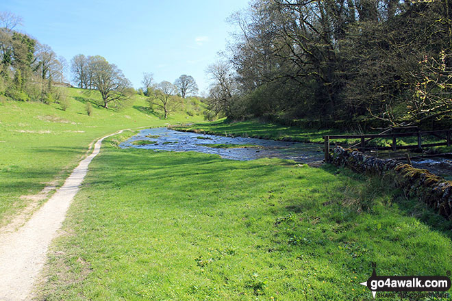 Walk d127 Lathkill Dale and Bradford Dale from Youlgreave - The path beside the River Bradford in Bradford Dale, Youlgreave