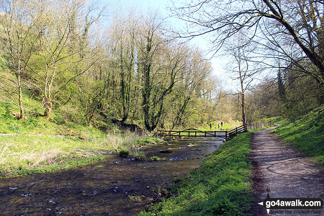 Walk d151 Youlgreave, The Limestone Way and Lathkill Dale from Over Haddon - The path beside the River Bradford in Bradford Dale, Youlgreave