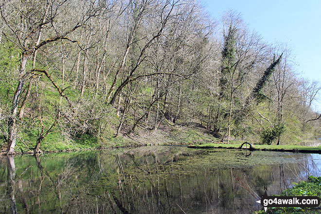 Walk d319 Youlgreave, Elton and The Limestone Way  from Winster - The River Bradford in Bradford Dale, Youlgreave