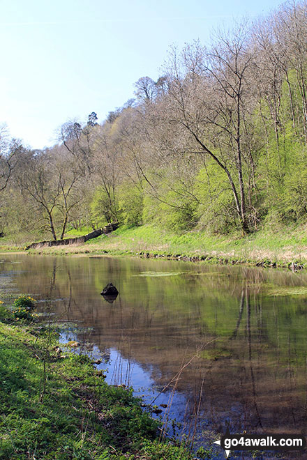 Walk d313 Winster, Youlgreave and Birchover from Darley Bridge - The River Bradford in Bradford Dale, Youlgreave