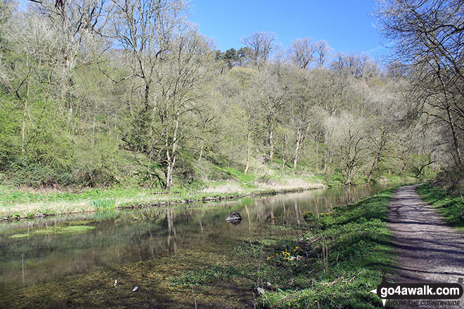 Walk d151 Youlgreave, The Limestone Way and Lathkill Dale from Over Haddon - The River Bradford in Bradford Dale, Youlgreave