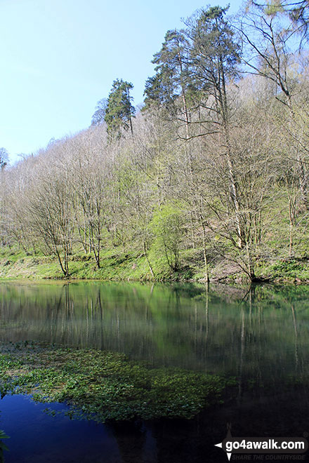 Walk d194 Elton and The Limestone Way from Youlgreave - The River Bradford in Bradford Dale, Youlgreave