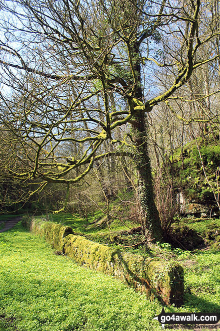 Walk d313 Winster, Youlgreave and Birchover from Darley Bridge - At the Middleton-by-Youlgreave end of Bradford Dale