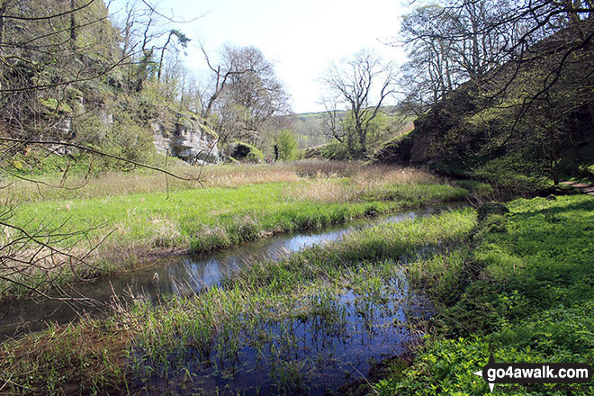 The River Bradford at the Middleton-by-Youlgreave end of Bradford Dale 