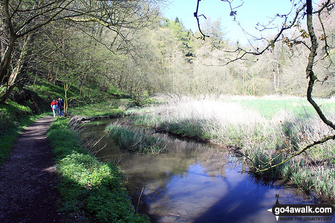 Walk d313 Winster, Youlgreave and Birchover from Darley Bridge - Path beside the River Bradford at the Middleton-by-Youlgreave end of Bradford Dale