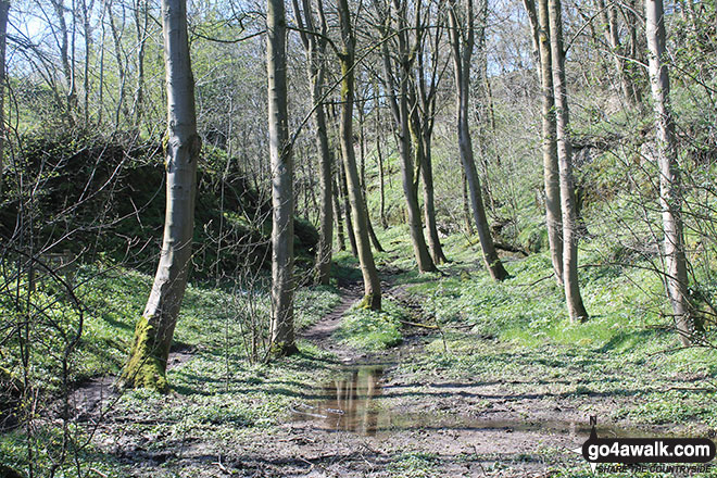 Walk d127 Lathkill Dale and Bradford Dale from Youlgreave - Rusden Wood south of Middleton-by-Youlgreave