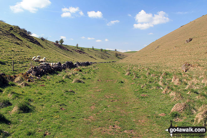 Walk d295 Bradford Dale, Long Dale, Gratton Dale and  Elton from Youlgreave - Long Dale