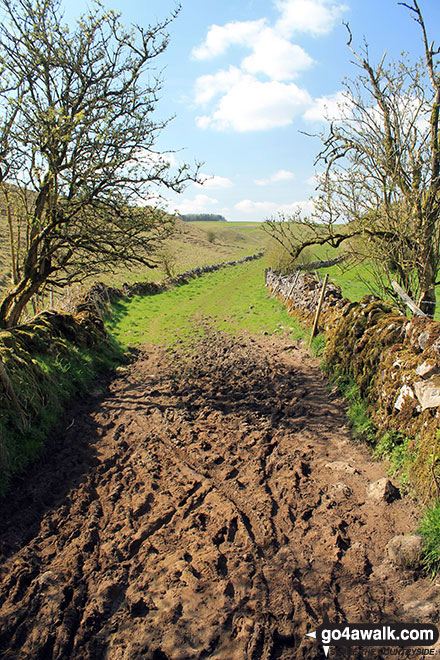 Walk d295 Bradford Dale, Long Dale, Gratton Dale and  Elton from Youlgreave - Where Long Dale meets Gratton Dale