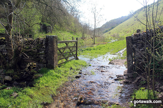 Walk d295 Bradford Dale, Long Dale, Gratton Dale and  Elton from Youlgreave - Gate and overflowing stream in Gratton Dale