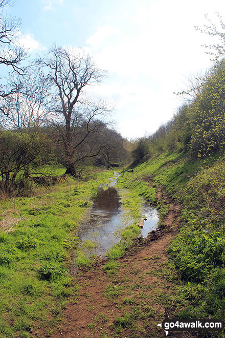 Walk d328 Gratton Dale and Elton Common from Elton - Gratton Dale