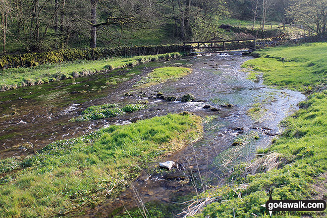 Walk d127 Lathkill Dale and Bradford Dale from Youlgreave - The River Bradford in Bradford Dale near Youlgreave