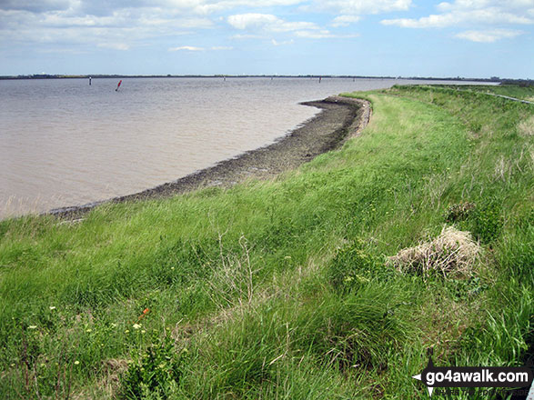 Walk nf133 Breydon Water from Halvergate - Breydon Water