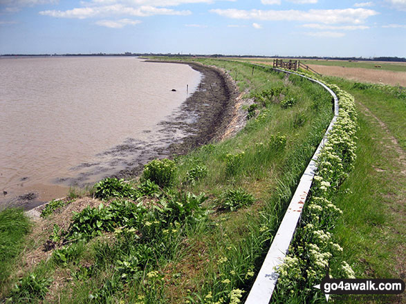 The path beside Breydon Water 