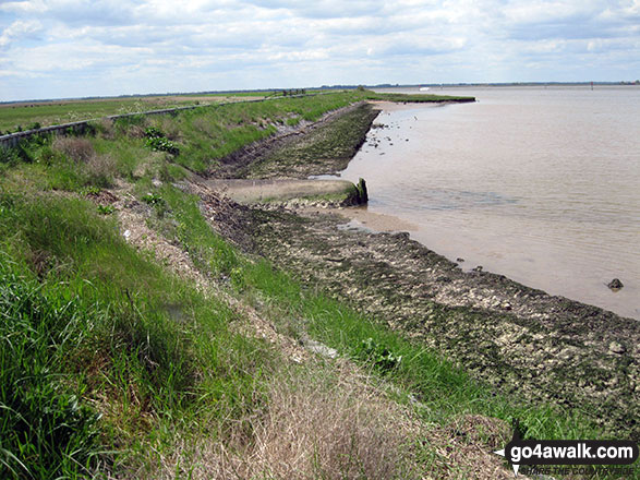 Walk nf115 Breydon Water from Burgh Castle - Breydon Water