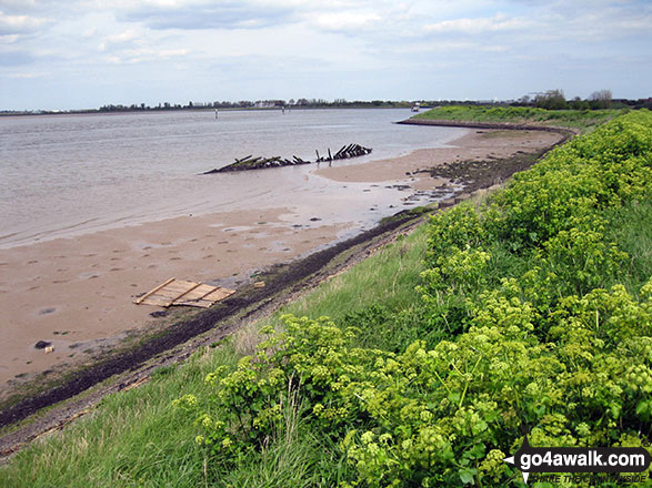 Walk nf115 Breydon Water from Burgh Castle - Boat wreck in the sands of Breydon Water