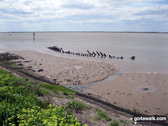 Walk nf115 Breydon Water from Burgh Castle - Boat wreck in the sands of Breydon Water