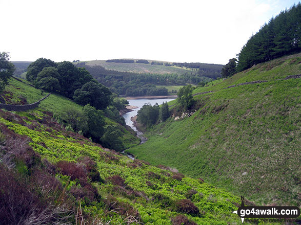 Errwood Reservoir from Wild Moor 