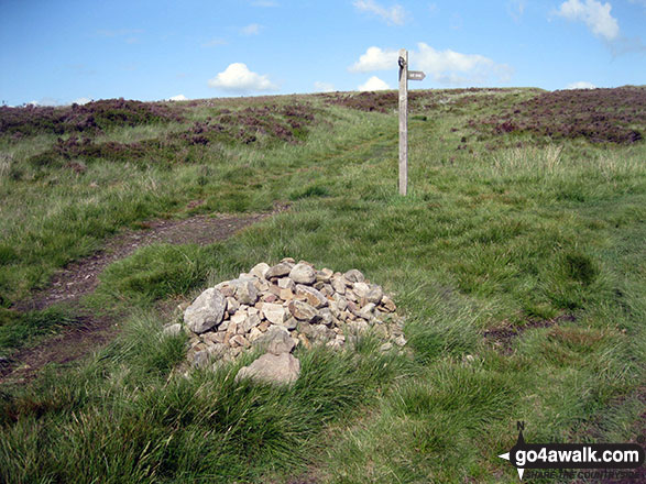 Walk d102 Burbage, Burbage Edge and Goyt's Moss from Errwood Reservoir - Large cairn at a path junction on Goyt's Moss