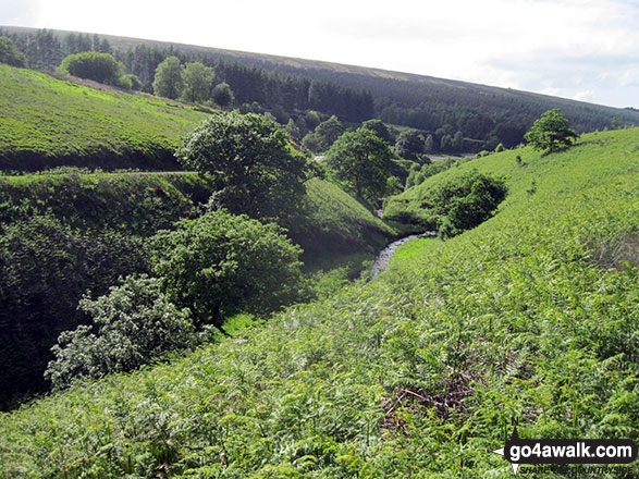 Walk d102 Burbage, Burbage Edge and Goyt's Moss from Errwood Reservoir - Goyt's Clough from Goyt's Moss