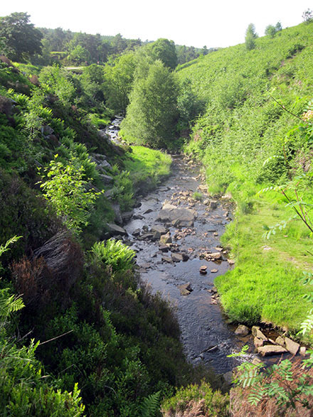 Walk d124 Burbage Edge and Goyt's Moss from Burbage Church, Buxton - Goyt's Clough