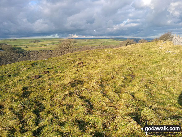 The summit of Fin Cop - just a grassy hump