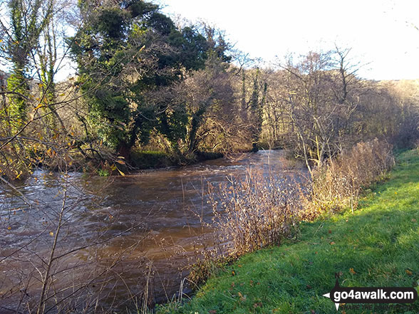 Walk d230 Monsal Dale from Ashford in the Water - The River Wye in Monsal Dale