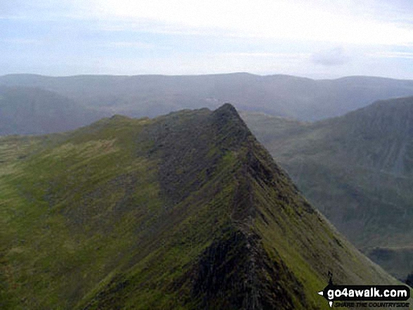 Walk c124 Helvellyn Ridge from Thirlmere - The famous view of Striding Edge from Helvellyn