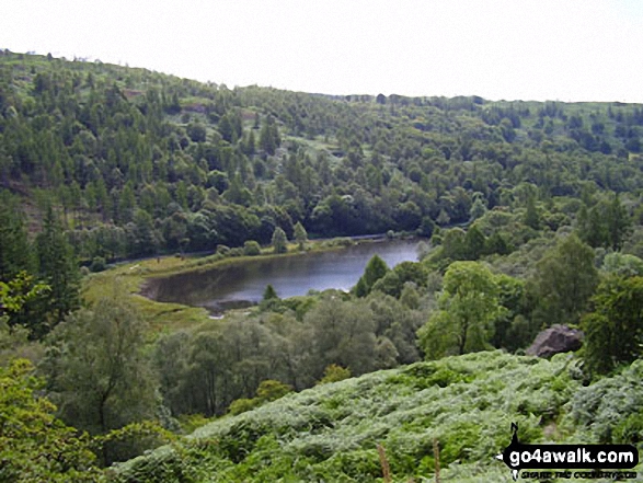 Walk c121 Tarn Hows and Yew Tree Tarn from Tom Gill - Yew Tree Tarn