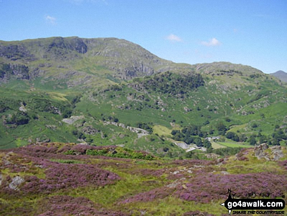 Wetherlam from Holme Fell 