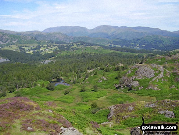 Helvellyn and Fairfield from Holme Fell 