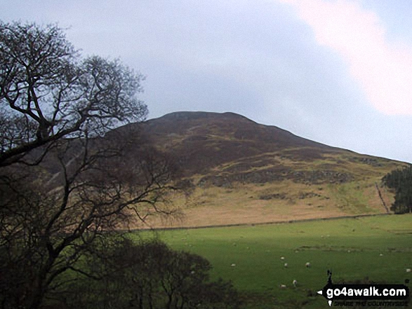 Walk c421 Mellbreak and Hen Comb from Loweswater - Mellbreak from near Maggie s Bridge, Loweswater