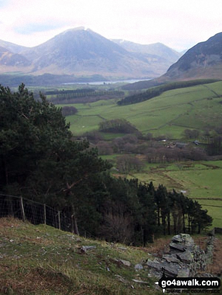 Walk c212 Burnbank Fell, Gavel Fell, Hen Comb and Mellbreak from Loweswater - Grasmoor and Crummock Water from Holme Wood above High Nook Farm