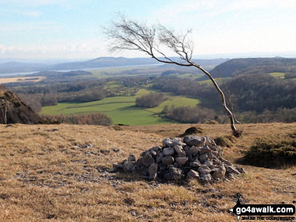 Walk c107 Lord's Seat (Whitbarrow Scar) from Witherslack Hall School - Arnside Knott and Upper Allithwiate from above Black Yews Scar, Whitbarrow Scar