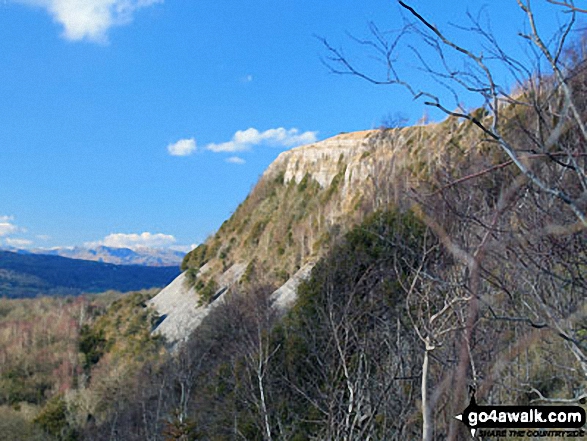 Whitbarrow Scar from half-way up Black Yews Scar 