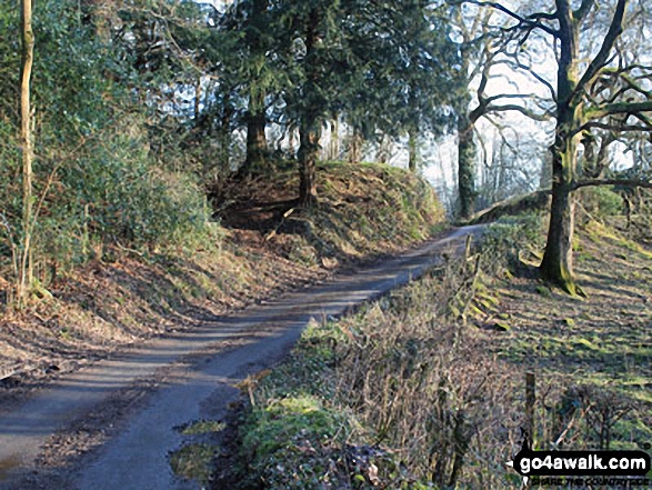 Spring sunshine in Mill Side (Witherslack) 