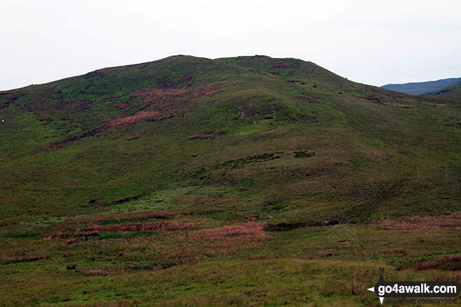 Jeffrey's Mount from Casterfell Hill 